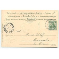 n°19833 - Carte Gaufrée - Fröhliche Ostern - Tête d'enfant dans un oeuf avec des fleurs