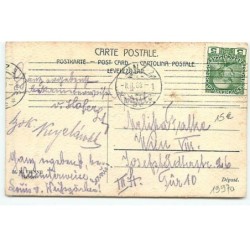 n°19970 - MM Vienne n°248 - Ck Cook - Couples de poussins marchant
