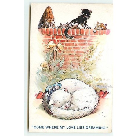 n°19998 - Chats - E. J. Hey & Co n°334 - Come Where my Love Lies Dreaming - Cat