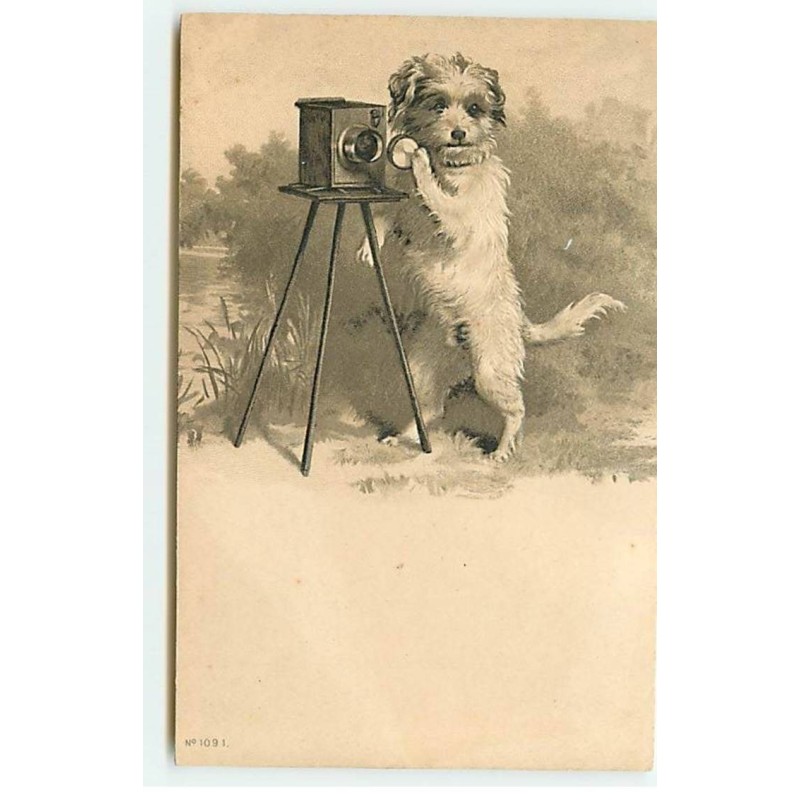 n°20148 - Carte Gaufrée - Chien prenant une photo
