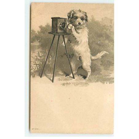 n°20148 - Carte Gaufrée - Chien prenant une photo
