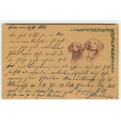 n°20197 - Carte Gaufrée -...
