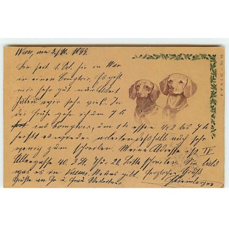 n°20197 - Carte Gaufrée - Deux teckels - 1899 - Dackel