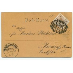 n°20197 - Carte Gaufrée - Deux teckels - 1899 - Dackel