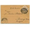 n°20197 - Carte Gaufrée - Deux teckels - 1899 - Dackel