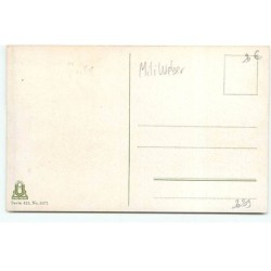 n°20209 - H.Dockal - Scarabée s'attaquant à une elfe accrochée sur une marguerite