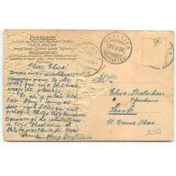 n°20247 - Carte Gaufrée - Fillette au milieu d'un champ de myosotis