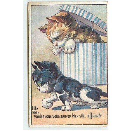 n°20300 - Little Pitche - Voulez-vous vous sauver bien vite, éffronté ! - Chats dont l'un dans une boite