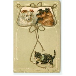 n°20348 - Carte Gaufrée -...