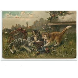 n°11045 - Carte Fantaisie -...