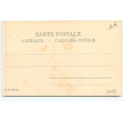 n°20393 - MM Vienne - Enfant debout sur une brouette postant une lettre, un cochon mangeant dans la brouette