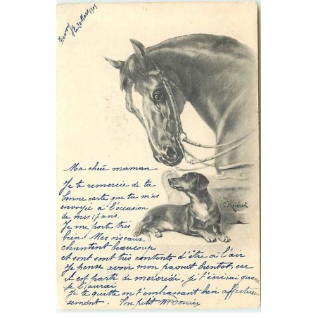 n°20396 - MM Vienne n°98 - C. Reichert - Cheval près d'un teckel