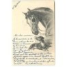 n°20396 - MM Vienne n°98 - C. Reichert - Cheval près d'un teckel