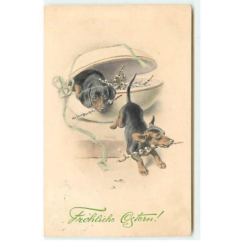 n°20397 - MM Vienne n°2569 - Fröhliche Ostern - Deux Teckels - Dackel