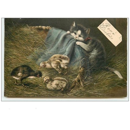 n°11046 - Carte Fantaisie - Chat regardant des poussins