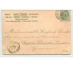 n°11046 - Carte Fantaisie - Chat regardant des poussins