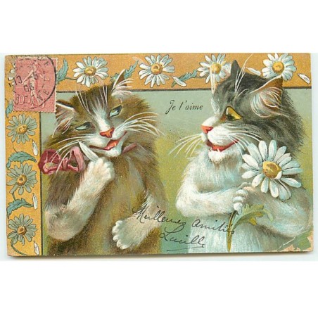 n°20566 - Maurice Boulanger - Chats Humanisés - Je t'aime - Effeuillage de Marguerite