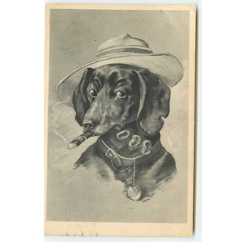 n°20600 - H. Christ Vienne n°191 - Teckel Habillé fumant