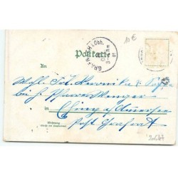 n°20647 - Fröhliches Neues Jahr 1902 - Ange gardien chantant sous une étoile