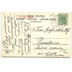 n°20658 - MM Vienne n°244 - F.G. Lewin - Dindon coloré, enfant noir et chats marrons