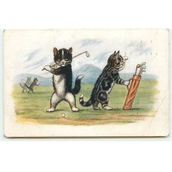 n°20742 - Chat - J. Salmon...