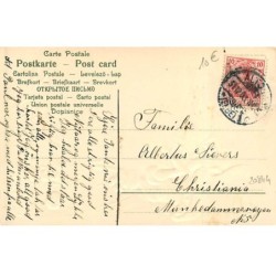 n°20844 - Carte Gaufrée - Prosit Neujahr - Jeune femme regardant un spectacle d'un ange gardien, un cochon, un ramoneur