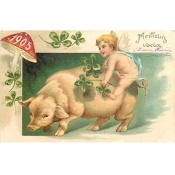 n°20850 - Carte Gaufrée -...