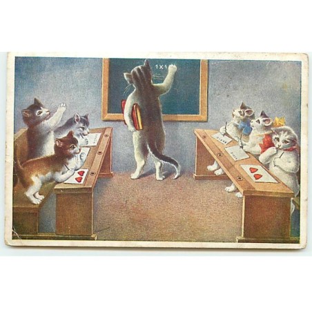 n°20891 - Classe de chats, écoutant une leçon