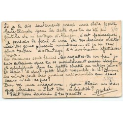 n°20891 - Classe de chats, écoutant une leçon