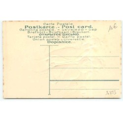 n°20893 - Carte Gaufrée - Deux jeunes femmes, l'une portant un sapin