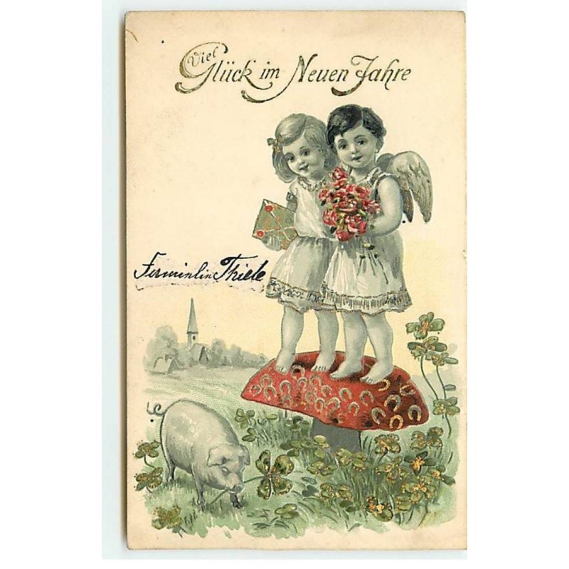 n°20931 - Carte Gaufrée - Viel Glück im Neun jahre - Anges debout sur un champignon, regardant un cochon
