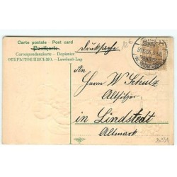 n°20931 - Carte Gaufrée - Viel Glück im Neun jahre - Anges debout sur un champignon, regardant un cochon