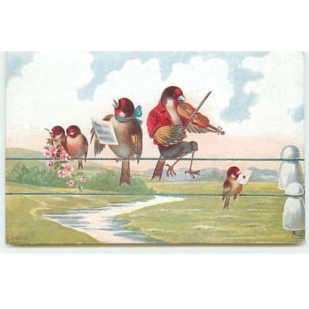 n°21040 - C. Ohler - Famille d'oiseaux chantant assis sur des fils électriques
