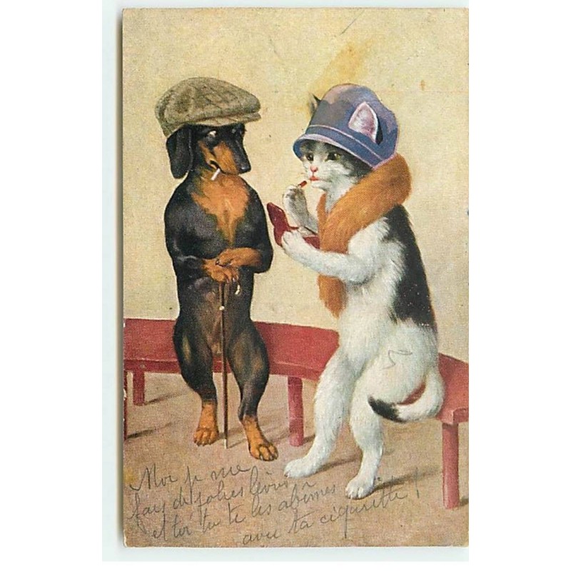 n°21044 - Teckel portant une casquette regardant une chatte se mettant du rouge à lèvres
