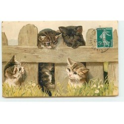 n°21046 - Chats autour...