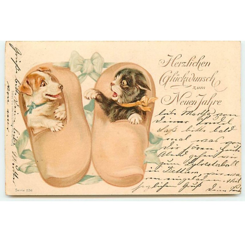 n°21047 - Herlichen Glückwunsch zum Neuen Jahre - Un chien et un chat dans des sabots