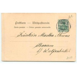 n°21047 - Herlichen Glückwunsch zum Neuen Jahre - Un chien et un chat dans des sabots