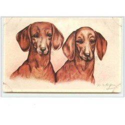 n°2114 - Couple de teckels...
