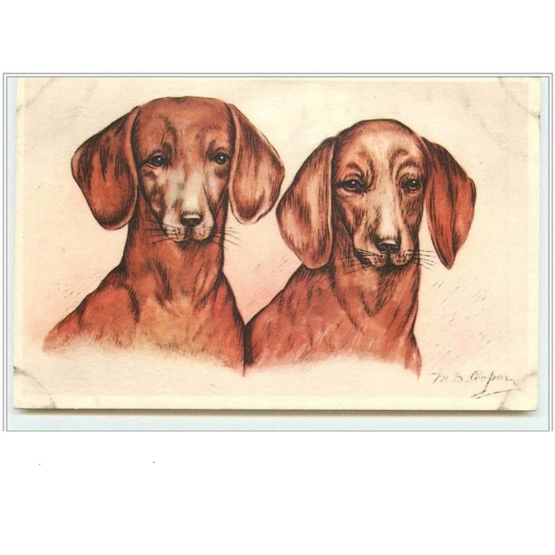 n°2114 - Couple de teckels - Cooper