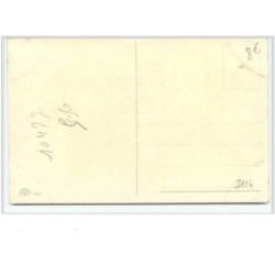 n°2114 - Couple de teckels - Cooper
