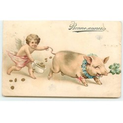 n°21195 - Carte Gaufrée -...