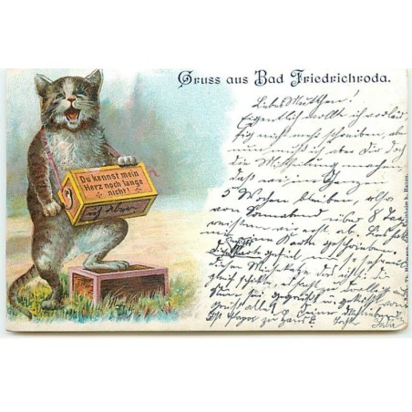 n°21219 - Gruss aus Bad Friedrichroda - Chat chantant avec un orgue de barbarie