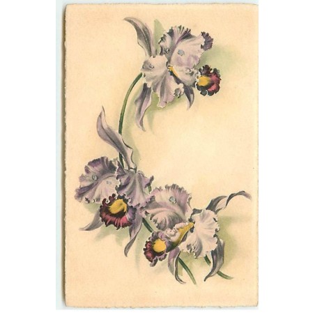 n°21220 - M. Munk Wien n°910 - Iris ou Orchidée