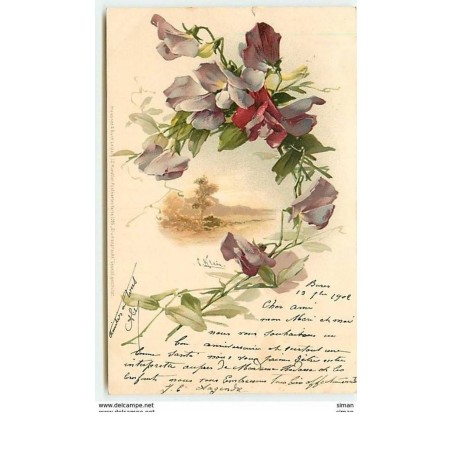 n°11251 - Carte Illustrateur - Catharina Klein - Meissner serie 1095 - Fleurs violettes et Paysage