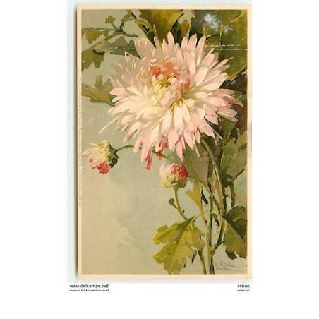 n°11252 - Carte Illustrateur - Catharina Klein - Meissner serie 1208 - Dahlia