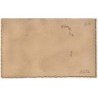 n°21252 - Carte Brodée - Souvenir de France - Drapeaux Français et Américain