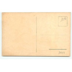 n°21344 - Dick Meester - Vrolijk Paasfesst - Canard poussant un oeuf sur une brouette