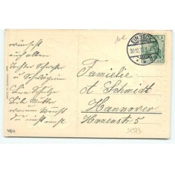 n°21373 - Carte Gaufrée - Bonne Année - Fillette se promenant avec des cochons en laisse