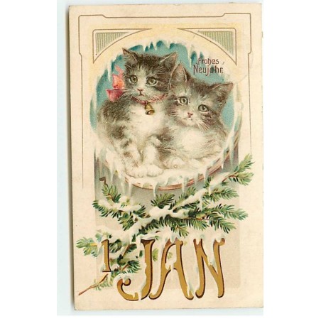 n°21541 - Frohes Neujahr - Deux Chatons - chat
