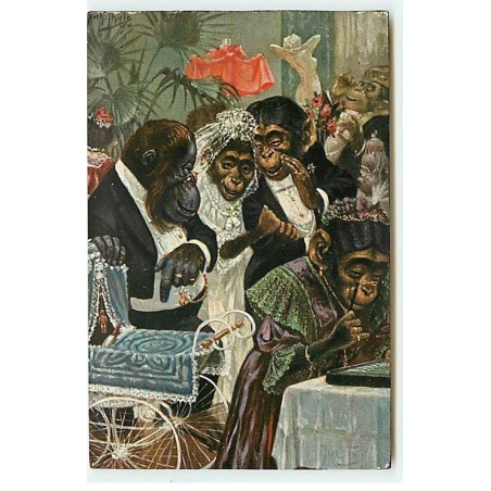 n°21559 - Illustrateur - Arthur Thiele - Cérémonie de mariage de singes habillés
